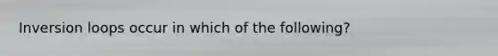 Inversion loops occur in which of the following?