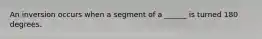 An inversion occurs when a segment of a ______ is turned 180 degrees.