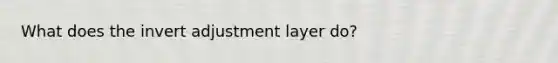 What does the invert adjustment layer do?