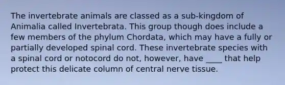 The invertebrate animals are classed as a sub-kingdom of Animalia called Invertebrata. This group though does include a few members of the phylum Chordata, which may have a fully or partially developed spinal cord. These invertebrate species with a spinal cord or notocord do not, however, have ____ that help protect this delicate column of central nerve tissue.