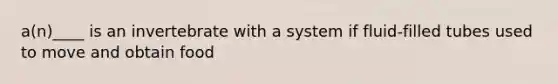 a(n)____ is an invertebrate with a system if fluid-filled tubes used to move and obtain food