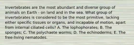 Invertebrates are the most abundant and diverse group of animals on Earth - on land and in the sea. What group of invertebrates is considered to be the most primitive, lacking either specific tissues or organs, and incapable of motion, apart from internal ciliated cells? A. The lophophorates; B. The sponges; C. The polychaete worms; D. The echinoderms; E. The free-living nematodes.