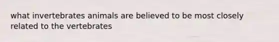 what invertebrates animals are believed to be most closely related to the vertebrates