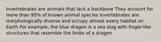 Invertebrates are animals that lack a backbone They account for <a href='https://www.questionai.com/knowledge/keWHlEPx42-more-than' class='anchor-knowledge'>more than</a> 95% of known animal species Invertebrates are morphologically diverse and occupy almost every habitat on Earth For example, the blue dragon is a sea slug with finger-like structures that resemble the limbs of a dragon