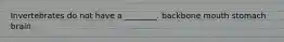Invertebrates do not have a ________. backbone mouth stomach brain