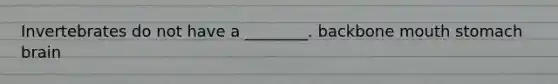 Invertebrates do not have a ________. backbone mouth stomach brain
