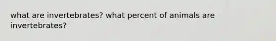 what are invertebrates? what percent of animals are invertebrates?