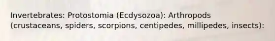 Invertebrates: Protostomia (Ecdysozoa): Arthropods (crustaceans, spiders, scorpions, centipedes, millipedes, insects):