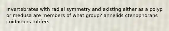 Invertebrates with radial symmetry and existing either as a polyp or medusa are members of what group? annelids ctenophorans cnidarians rotifers