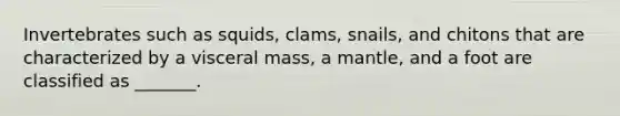 Invertebrates such as squids, clams, snails, and chitons that are characterized by a visceral mass, a mantle, and a foot are classified as _______.