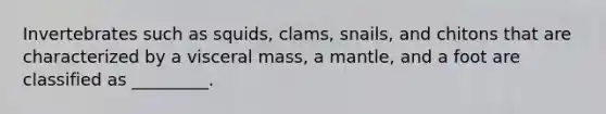 Invertebrates such as squids, clams, snails, and chitons that are characterized by a visceral mass, a mantle, and a foot are classified as _________.