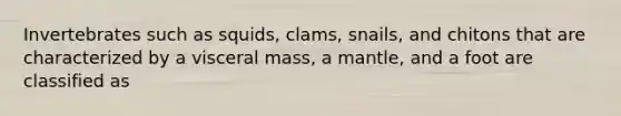 Invertebrates such as squids, clams, snails, and chitons that are characterized by a visceral mass, a mantle, and a foot are classified as