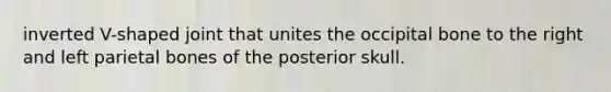 inverted V-shaped joint that unites the occipital bone to the right and left parietal bones of the posterior skull.