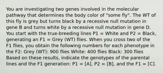 You are investigating two genes involved in the molecular pathway that determines the body color of "some fly". The WT of this fly is grey but turns black by a recessive null mutation in gene B and turns white by a recessive null mutation in gene D. You start with the true-breeding lines P1 = White and P2 = Black, generating an F1 = Grey (WT) flies. When you cross two of the F1 flies, you obtain the following numbers for each phenotype in the F2: Grey (WT): 900 flies White: 400 flies Black: 300 flies Based on these results, indicate the genotypes of the parental lines and the F1 generation: P1 = [A], P2 = [B], and the F1 = [C].