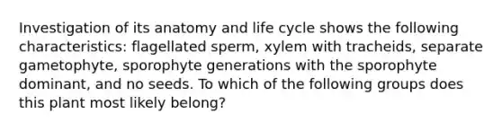 Investigation of its anatomy and life cycle shows the following characteristics: flagellated sperm, xylem with tracheids, separate gametophyte, sporophyte generations with the sporophyte dominant, and no seeds. To which of the following groups does this plant most likely belong?