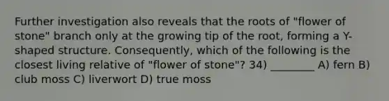 Further investigation also reveals that the roots of "flower of stone" branch only at the growing tip of the root, forming a Y-shaped structure. Consequently, which of the following is the closest living relative of "flower of stone"? 34) ________ A) fern B) club moss C) liverwort D) true moss