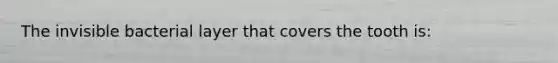 The invisible bacterial layer that covers the tooth is:
