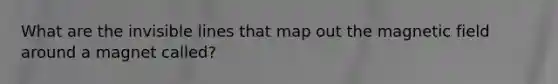 What are the invisible lines that map out the magnetic field around a magnet called?