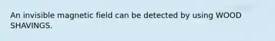 An invisible magnetic field can be detected by using WOOD SHAVINGS.
