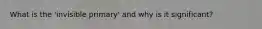 What is the 'invisible primary' and why is it significant?