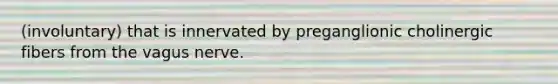 (involuntary) that is innervated by preganglionic cholinergic fibers from the vagus nerve.