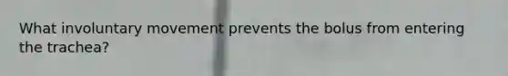 What involuntary movement prevents the bolus from entering the trachea?