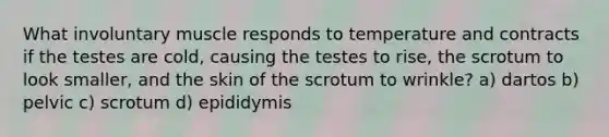 What involuntary muscle responds to temperature and contracts if the testes are cold, causing the testes to rise, the scrotum to look smaller, and the skin of the scrotum to wrinkle? a) dartos b) pelvic c) scrotum d) epididymis