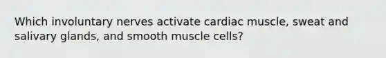 Which involuntary nerves activate cardiac muscle, sweat and salivary glands, and smooth muscle cells?