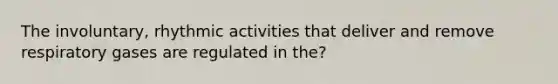 The involuntary, rhythmic activities that deliver and remove respiratory gases are regulated in the?