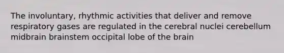 The involuntary, rhythmic activities that deliver and remove respiratory gases are regulated in the cerebral nuclei cerebellum midbrain brainstem occipital lobe of the brain