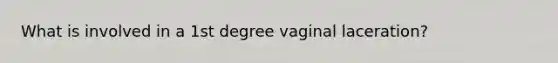 What is involved in a 1st degree vaginal laceration?