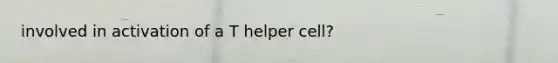 involved in activation of a T helper cell?