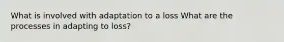 What is involved with adaptation to a loss What are the processes in adapting to loss?