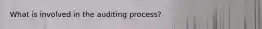 What is involved in the auditing process?