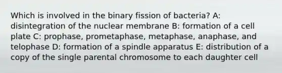 Which is involved in the binary fission of bacteria? A: disintegration of the nuclear membrane B: formation of a cell plate C: prophase, prometaphase, metaphase, anaphase, and telophase D: formation of a spindle apparatus E: distribution of a copy of the single parental chromosome to each daughter cell