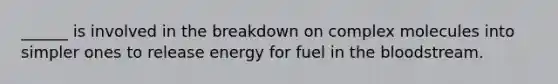 ______ is involved in the breakdown on complex molecules into simpler ones to release energy for fuel in the bloodstream.