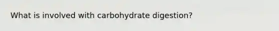 What is involved with carbohydrate digestion?