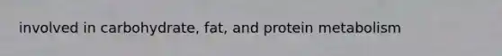 involved in carbohydrate, fat, and protein metabolism