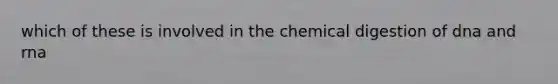 which of these is involved in the chemical digestion of dna and rna