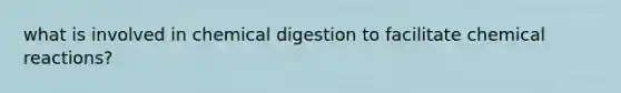 what is involved in chemical digestion to facilitate chemical reactions?