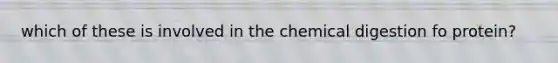 which of these is involved in the chemical digestion fo protein?