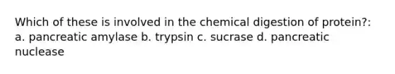 Which of these is involved in the chemical digestion of protein?: a. pancreatic amylase b. trypsin c. sucrase d. pancreatic nuclease