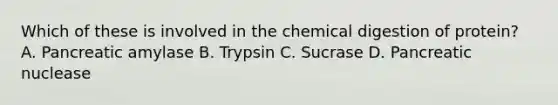 Which of these is involved in the chemical digestion of protein? A. Pancreatic amylase B. Trypsin C. Sucrase D. Pancreatic nuclease