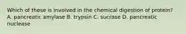 Which of these is involved in the chemical digestion of protein? A. pancreatic amylase B. trypsin C. sucrase D. pancreatic nuclease