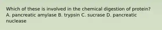 Which of these is involved in the chemical digestion of protein? A. pancreatic amylase B. trypsin C. sucrase D. pancreatic nuclease