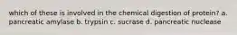 which of these is involved in the chemical digestion of protein? a. pancreatic amylase b. trypsin c. sucrase d. pancreatic nuclease