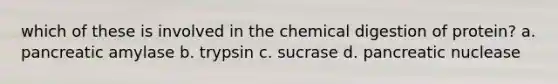 which of these is involved in the chemical digestion of protein? a. pancreatic amylase b. trypsin c. sucrase d. pancreatic nuclease