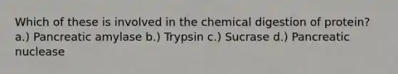 Which of these is involved in the chemical digestion of protein? a.) Pancreatic amylase b.) Trypsin c.) Sucrase d.) Pancreatic nuclease