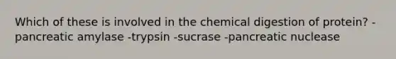 Which of these is involved in the chemical digestion of protein? -pancreatic amylase -trypsin -sucrase -pancreatic nuclease