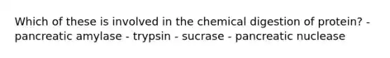 Which of these is involved in the chemical digestion of protein? - pancreatic amylase - trypsin - sucrase - pancreatic nuclease